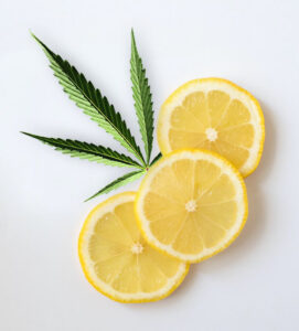 Limoneno cannabis