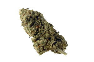 green magic cannabis bud