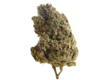 Lemongrass Cannabis Strain