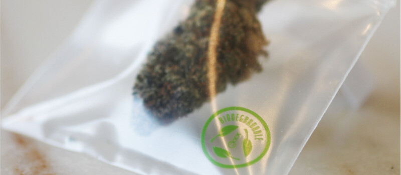 biodegradable seal grip bag with cannabis bud