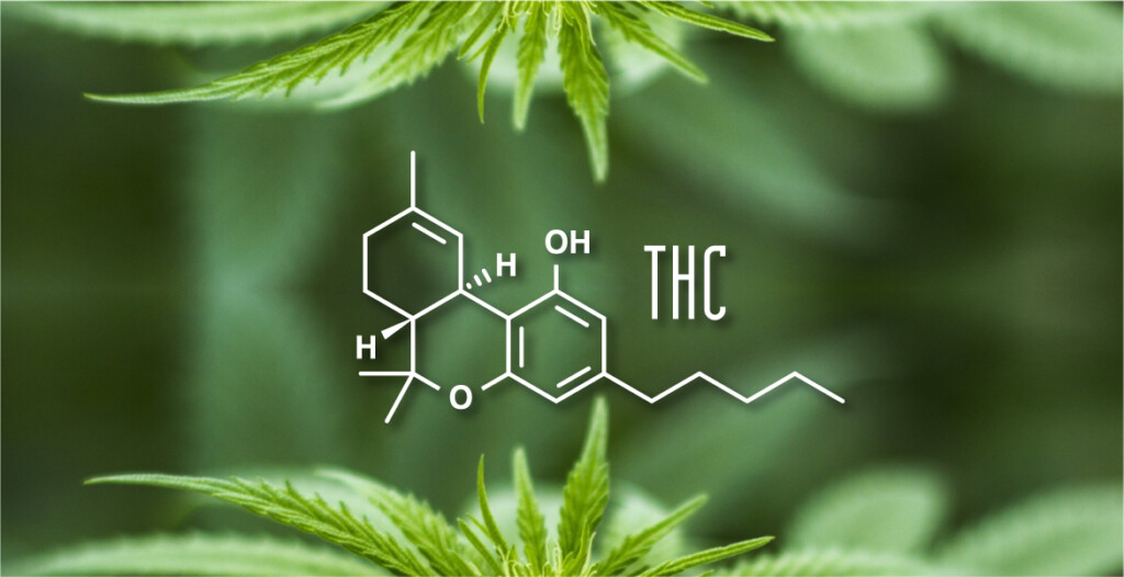 thc effects