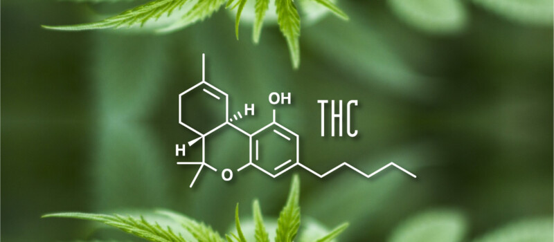thc effects