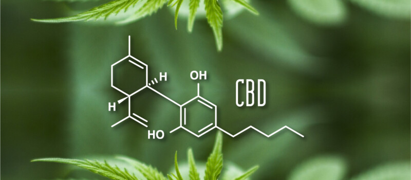 cbd cannabis