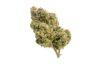 Skyrocket cannabis strain