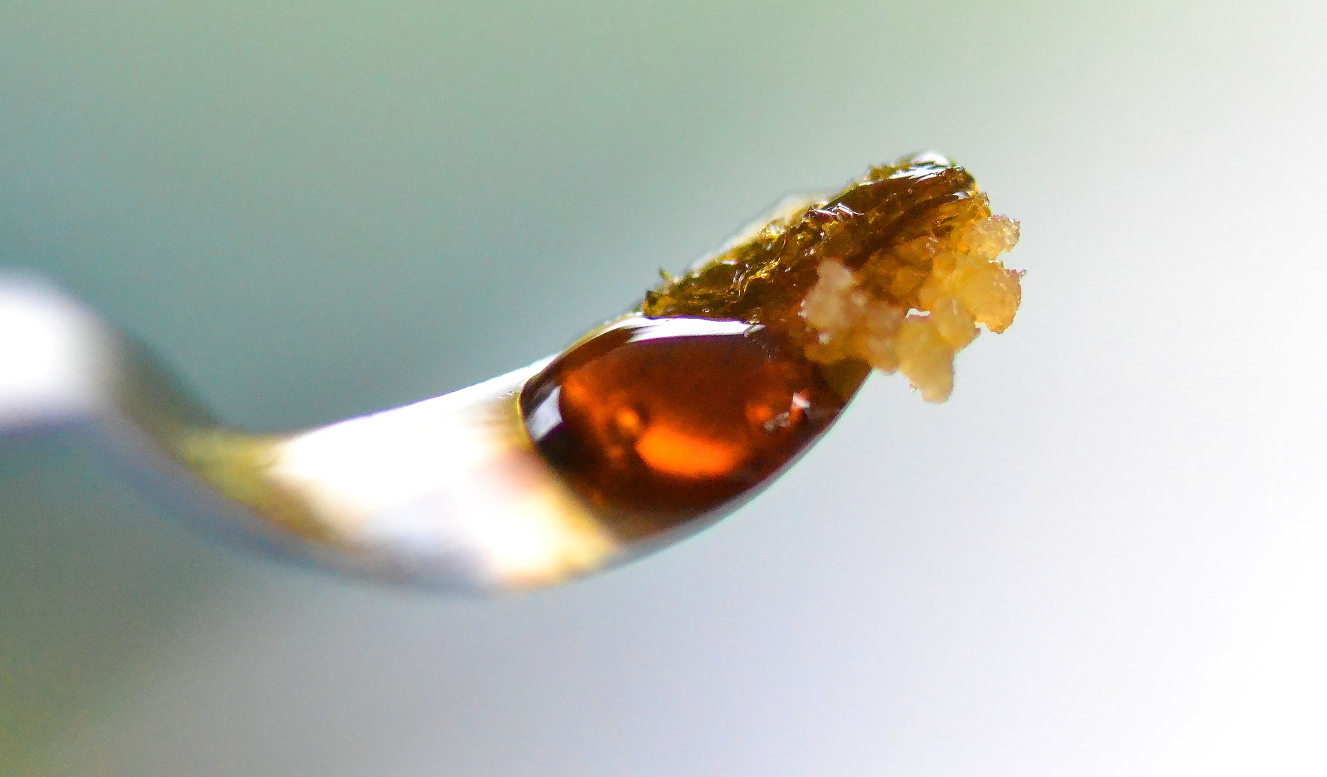 cannabis concentrate weed fat thc