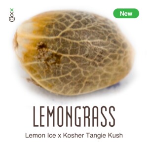 lemongrass cannabis seeds stress