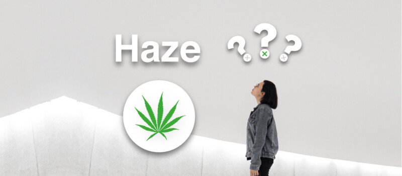haze cannabis
