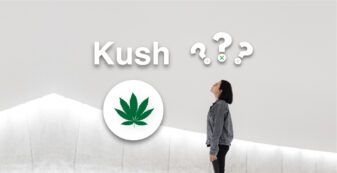 kush cannabis seeds