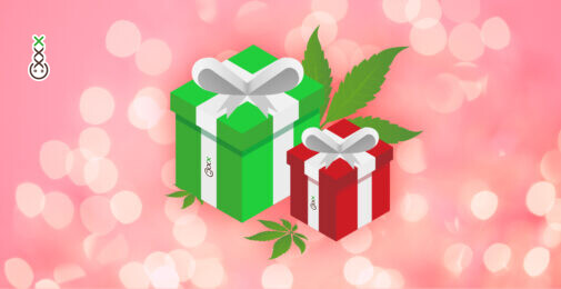cannabis cadeau