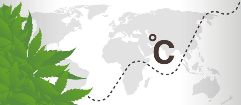 cannabis climate change