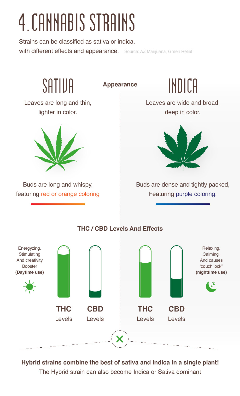 Cannabis Infographic And Related Blogs | Amsterdam Genetics