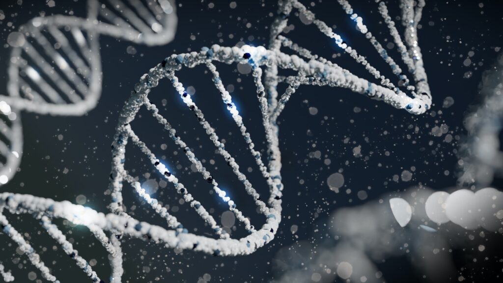 cannabis veredeling dna