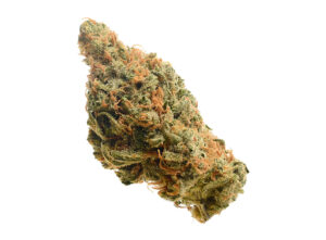 lemon haze sativa sex strain