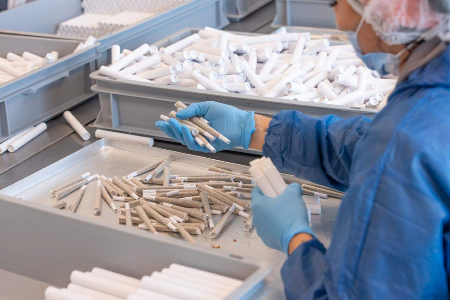 Joints worden in kokers verpakt. © APA