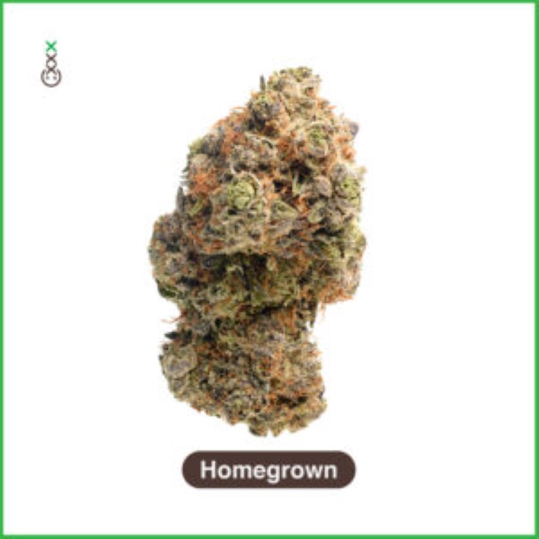 homegrown cannabis strains