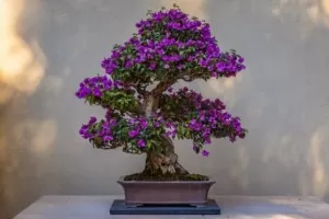 flowerin mini tree