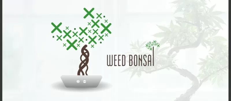 budsai weed bonsai