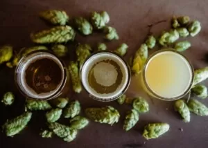 humulene hops cannabis