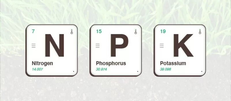stikstof kalium fosfor