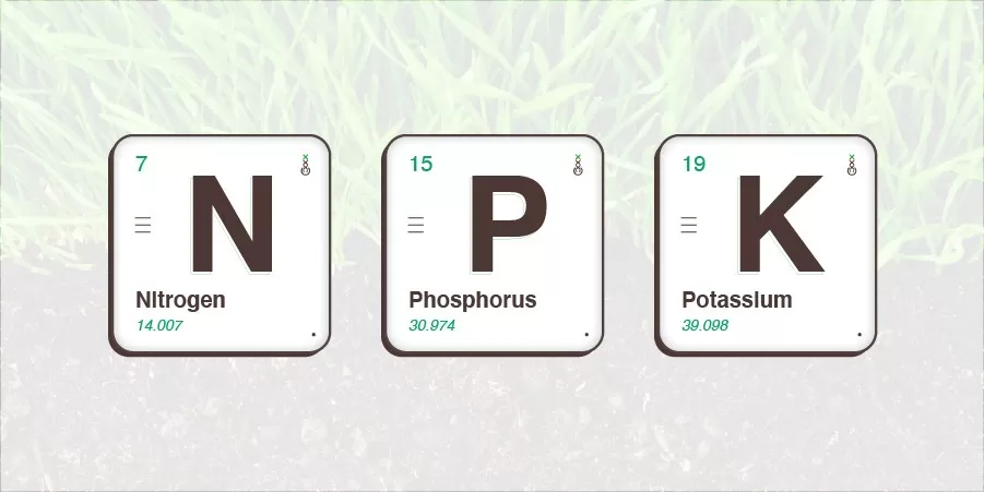 stikstof kalium fosfor
