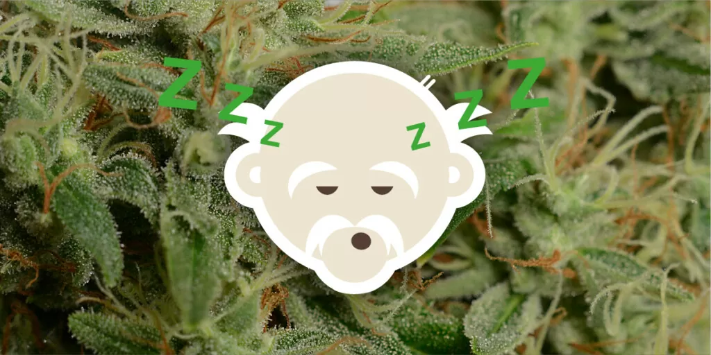 cannabis dreams sleeping