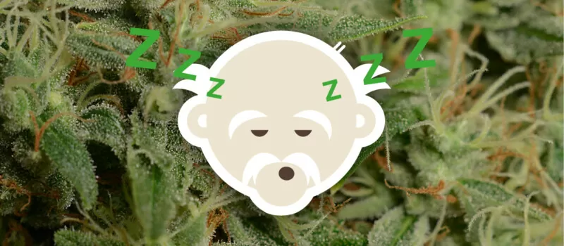 cannabis dromen slapen
