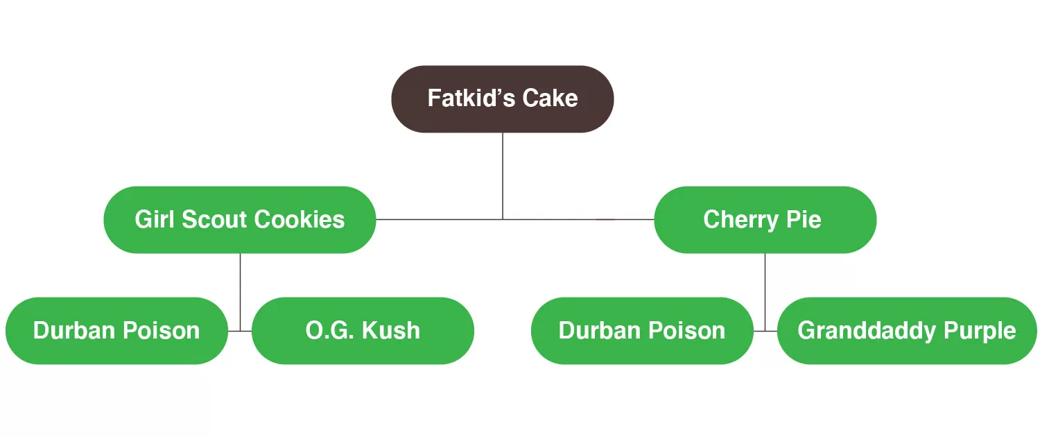 fatkid's cake mildew 