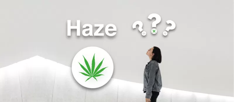 haze cannabis