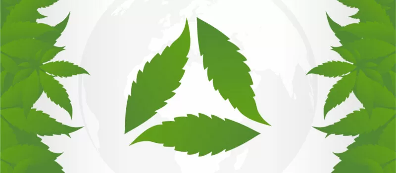 duurzaam cannabis growen