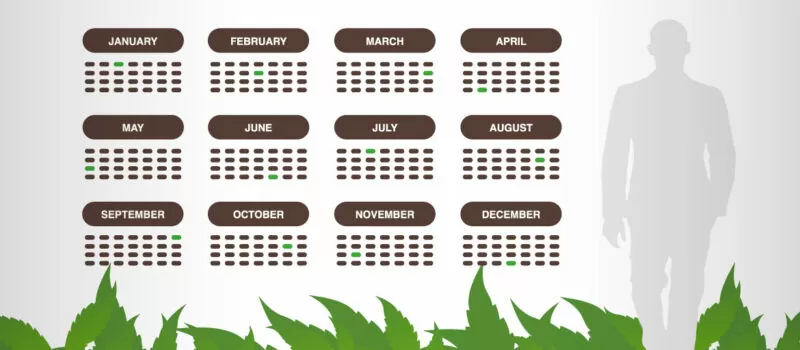 cannabis grow schedule